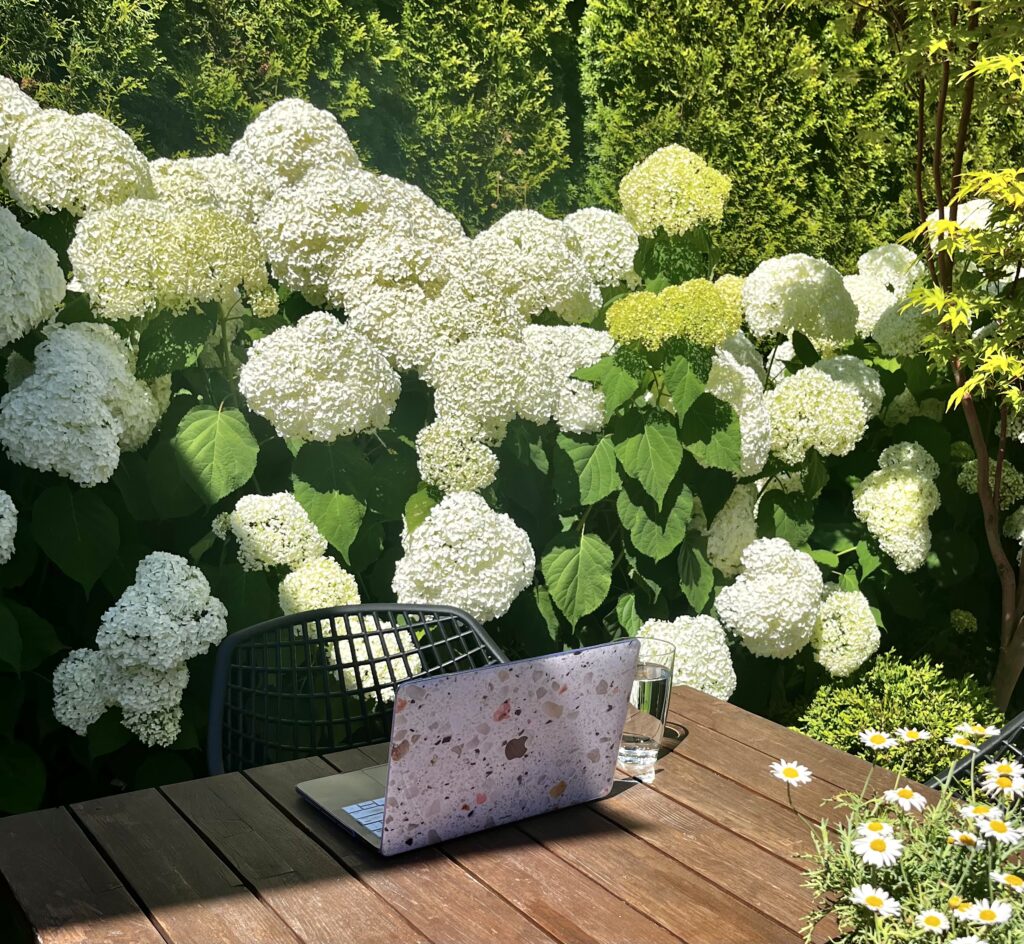 laptop on an outdoor table in front of hydrangeas on a nice day